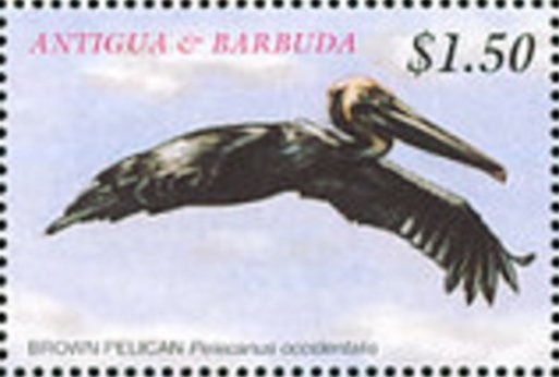 "Madonna Delceppo" (Filippo Lippi)