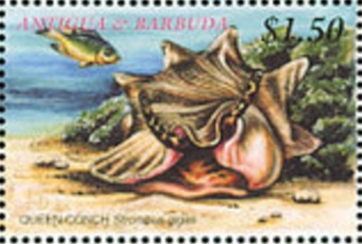 von Goethe (1749-1832) and von Schiller (1759-1805)