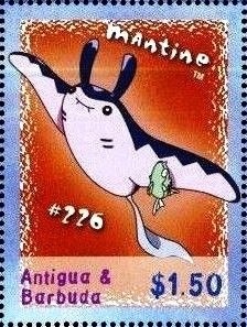 Black trumpet (Craterellus cornucopioides)