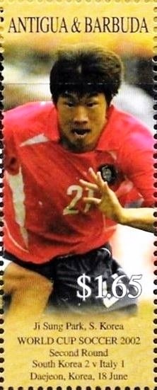 Ruddy Duck (Oxyura jamaicensis)