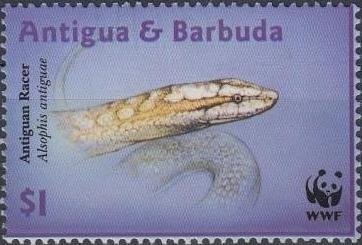 Blue-hooded Euphonia (Euphonia musica)