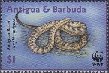 Consequences of War by Rubens