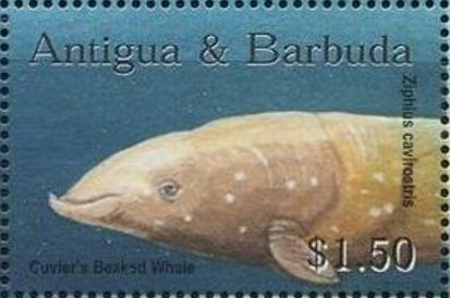 Charlie Chaplin in Bowler Hat