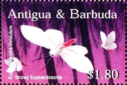 Goofy Waterskiing with Mickey