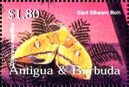 Ink on Silk Drawing from Zhan Jadashan (3rd-century BC)