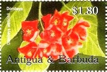 Princess Diana Visits Barbuda April 1997 (1)