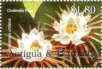 "Galleon and Merchants with Tiger"