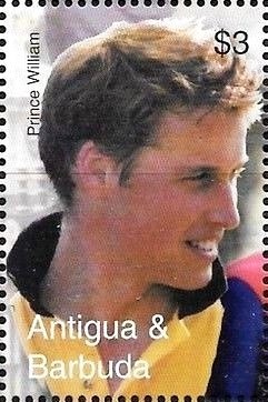 Seaside Mahoe (Thespesia populnea)