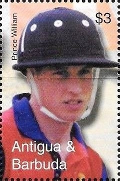 Calla Lily (Zantedeschia Cameo)