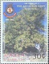 Reindeer ('Season's Greetings')