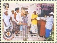 Broad-tailed Hummingbird (Selasphorus platycercus)