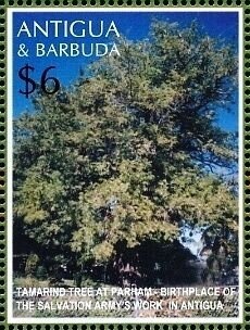 Benjamin Frankin Wearing Red