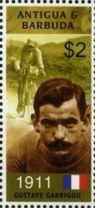 Striped Dolphin (Stenella coeruleoalba)