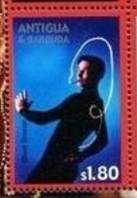 Bird of Paradise (Strelitzia parvifolia)