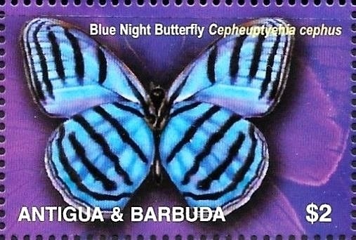 Pope Francis in New York