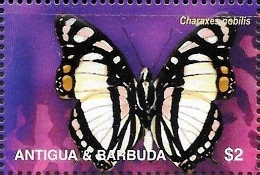 Sharks of the Caribbean