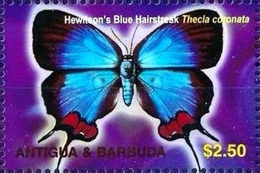 Giovanni Trapattoni (Italian coach)