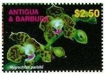 "Merchants with Parasol and Horse"