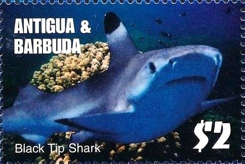 Major General Percy Hobart