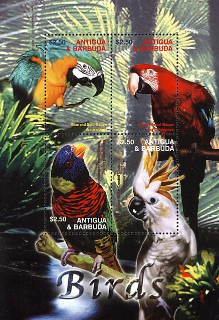 Green Heron (Butorides virescens)