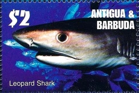 St. Peters Anglican Church