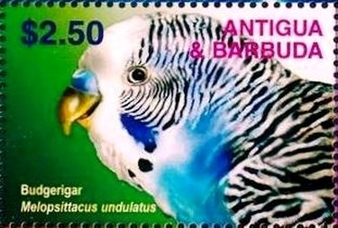 Ray Allen, Seattle Supersonics