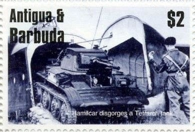 Little Hal (Phalaenopsis sp.)