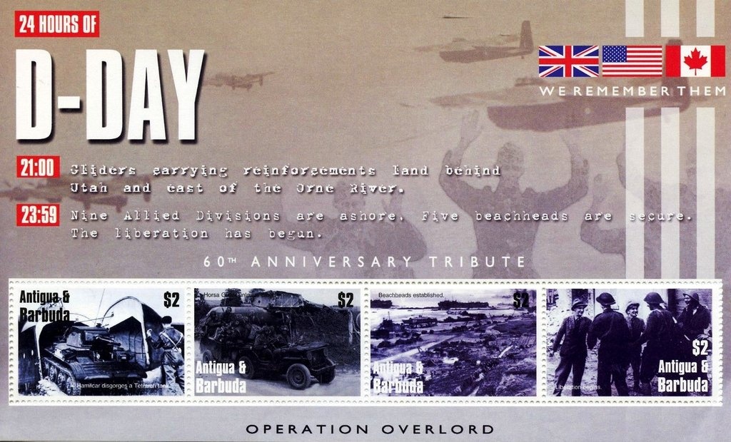 Boisduval's False Acraea (Pseudacraea boisduvali)