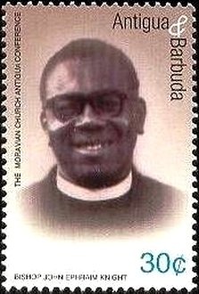 Mallard (Anas platyrhynchos)