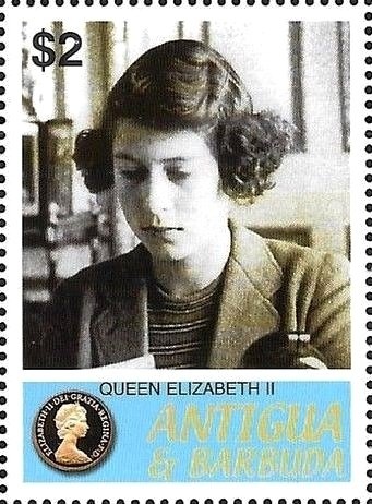 Southern Tamandua (Tamandua tetradactyla)