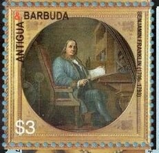 Turkey Vulture (Cathartes aura)