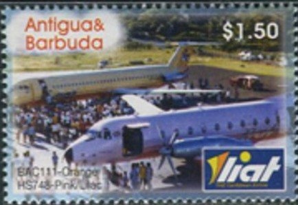 Hibiscus (Hibiscus rosa-sinensis)