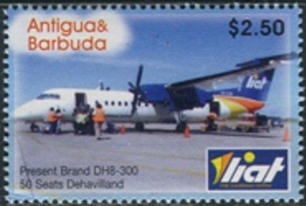 Catalina Macaw (Ara ararauna x Ara macao)