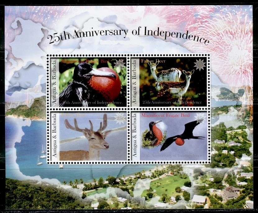 Northern Pintail and Chiloe Wigeon