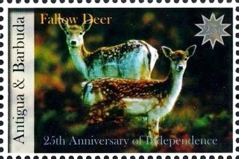 The Life and Times H.M. Queen Elizabeth the Queen Mother