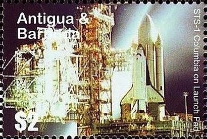 Killer Whale (Orcinus orca)