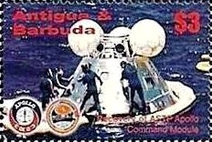 Sea Nettle Jellyfish (Chrysaora quinquecirrha)