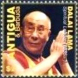 Florida Soft Shell (Apalone ferox)