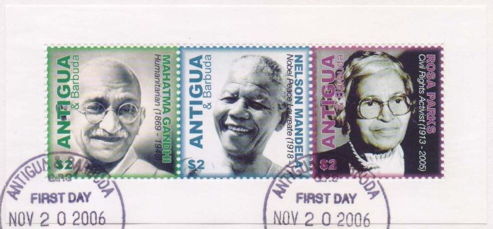 Black-headed Tchagra (Tchagra senegala)