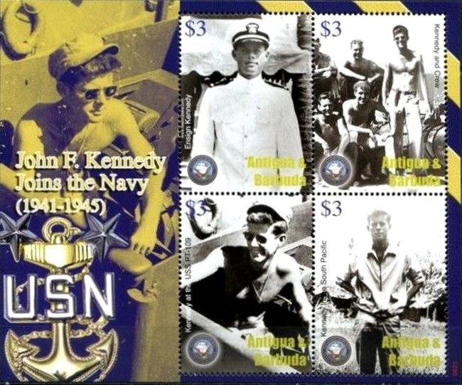 Yellow-crowned Night Heron (Nyctanassa violecea)