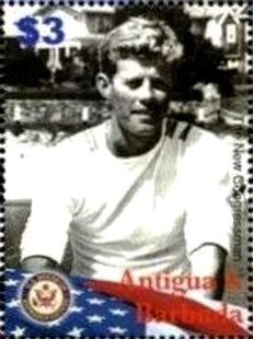 Head of Scalloped Hammerhead Shark (Sphyrna lewini)