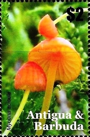 50 Years of Space Exploration and Satellites Explorer III