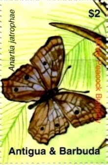 McDonnell-Douglas C-17A