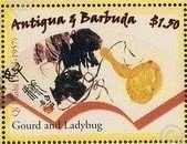 Egyptian Goose (Alopochen aegyptiacus)