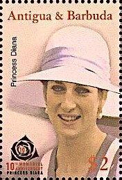 Northern Pintail and Chiloe Wigeon