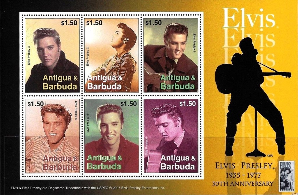 Thorny Seahorse (Hippocampus jaycari)