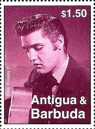 Glossy Ibis (Plegadis falcinellus)