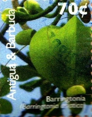 Concorde, Supersonic Airliner, 1969