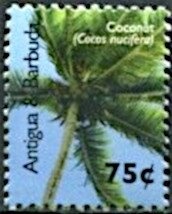 Western Pond (Actinemys marmorata)