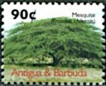 Heads of Two Angels Looking Down